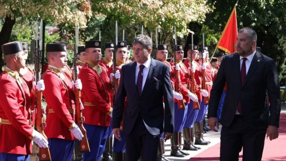 1758028145qdw0nmenml8e3msf i 747x498