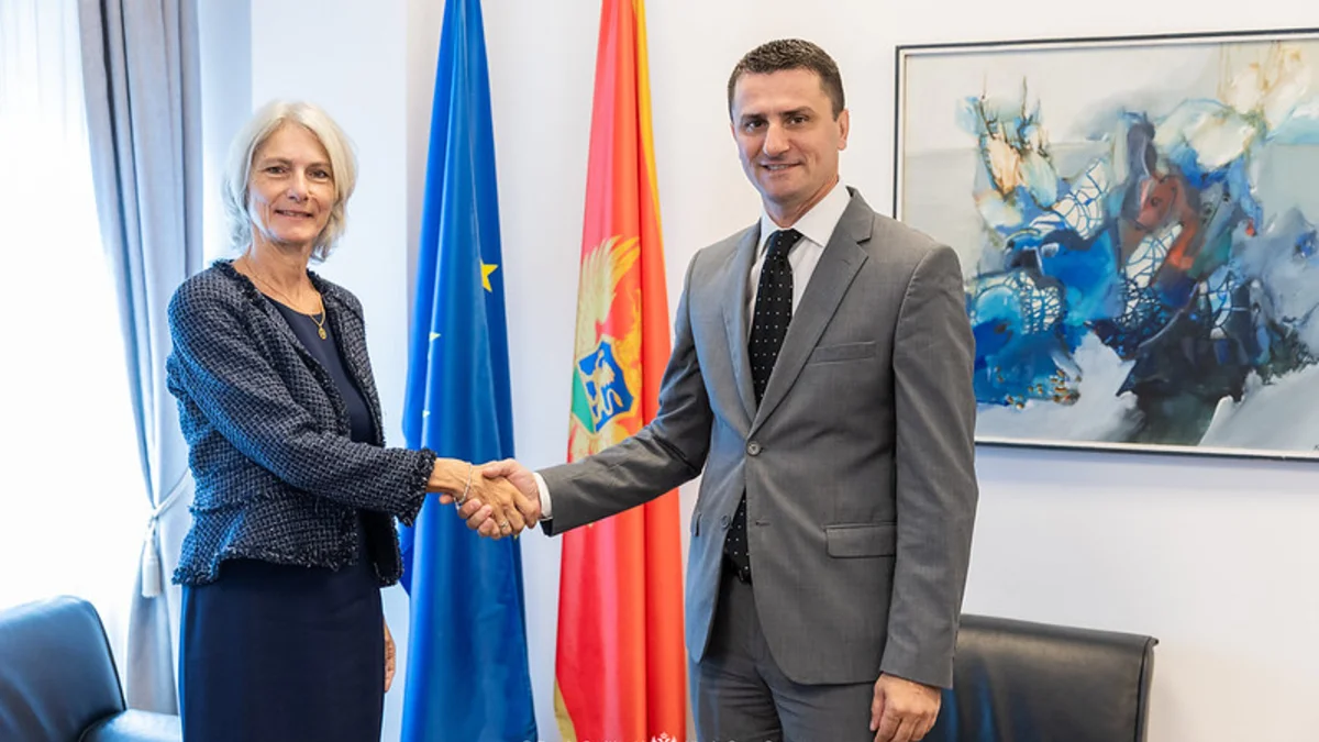 54781995905 f137d1980d c 600x900