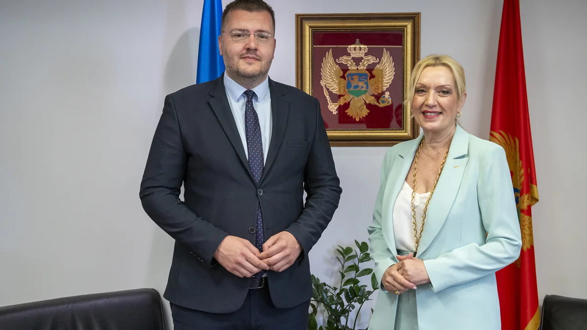 54819723668 c036d1433a o