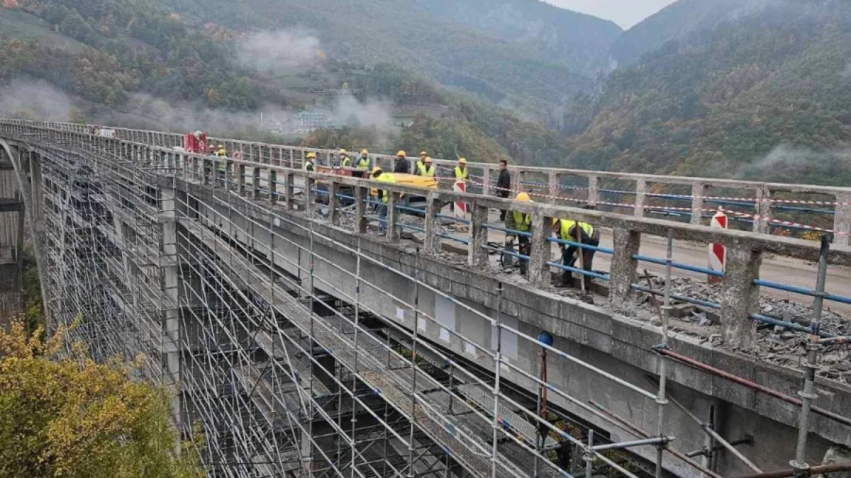 Bojovivcccc 1200x900