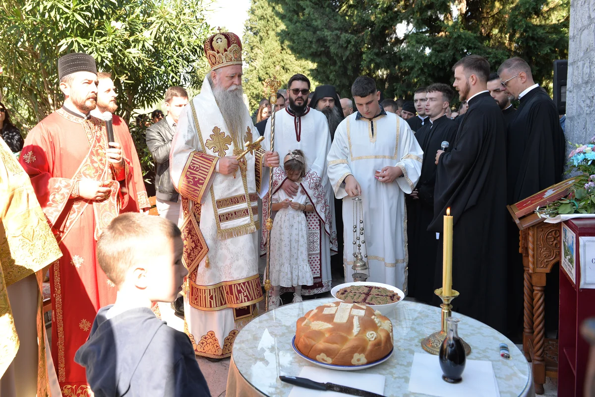 DSC 10001 (15)   Copy