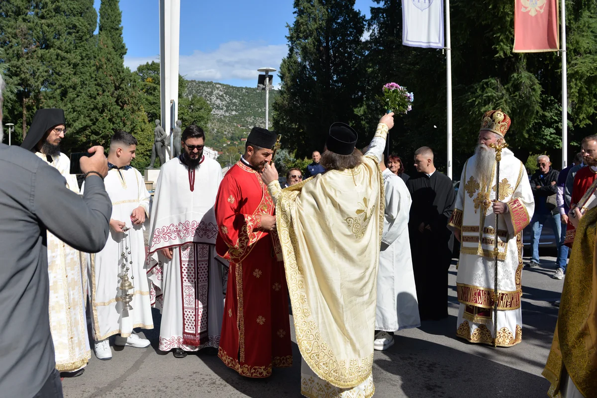 DSC 10001 (7)   Copy