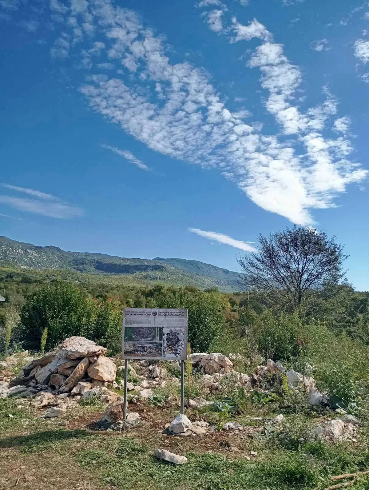 IMG 8153ad72a1c23fe87a0108bb90ed70c9 V