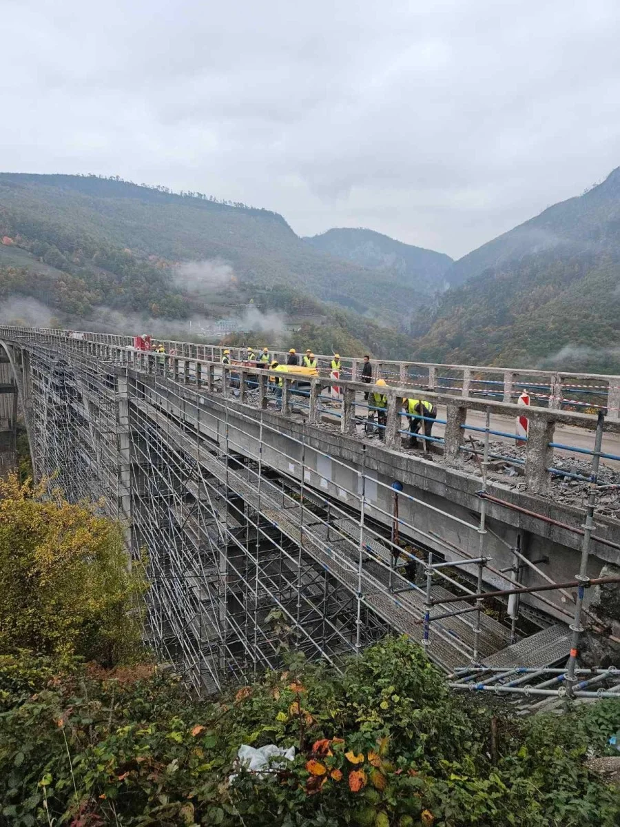 Bojovivcccc 1200x900