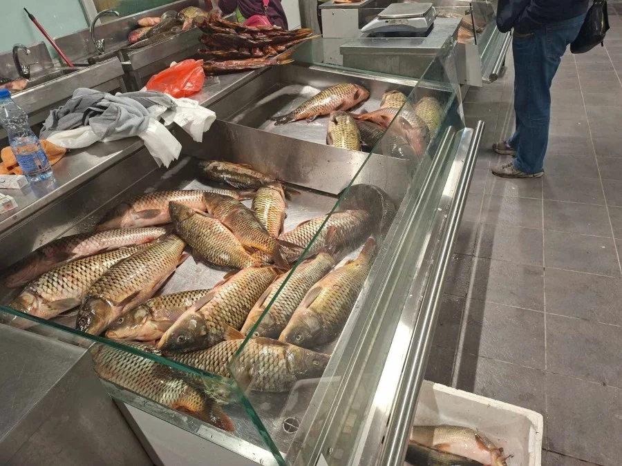 Ttttttttttttt 675x900