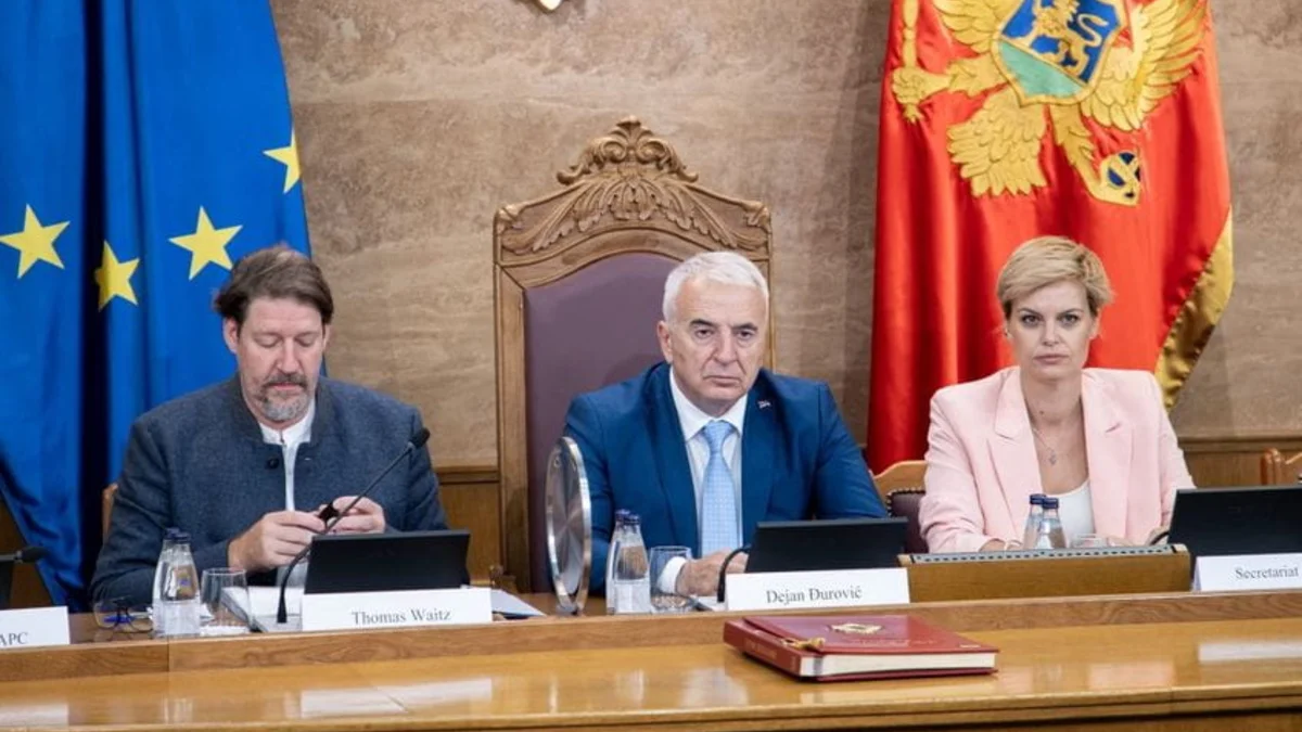 1758278311 image017 i 848x565 599x900