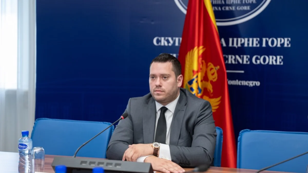 DSC06659 599x900 (1)