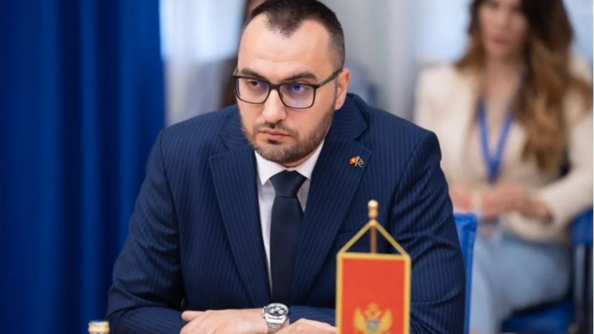 Dusko Stjepovic Demokratska Crna Gora foto DCG