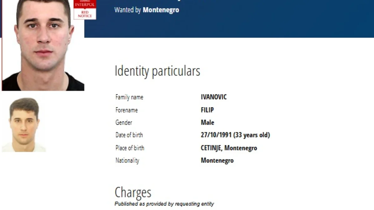 Filip ivanovic 618x900