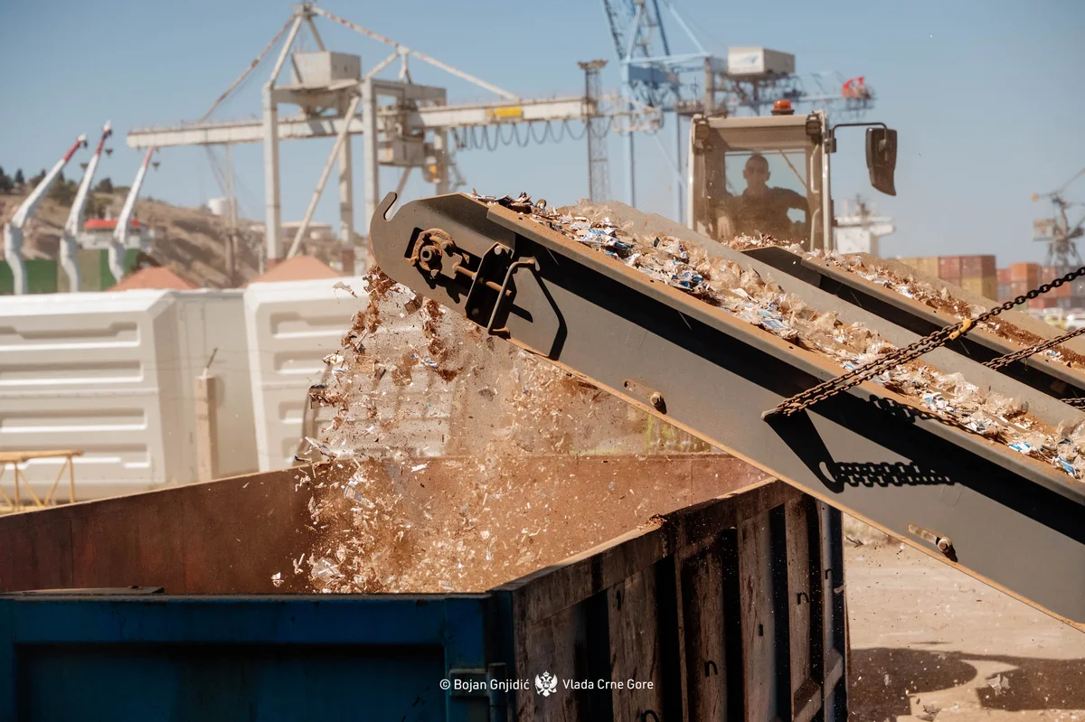 54790333727 19bfc3971e o