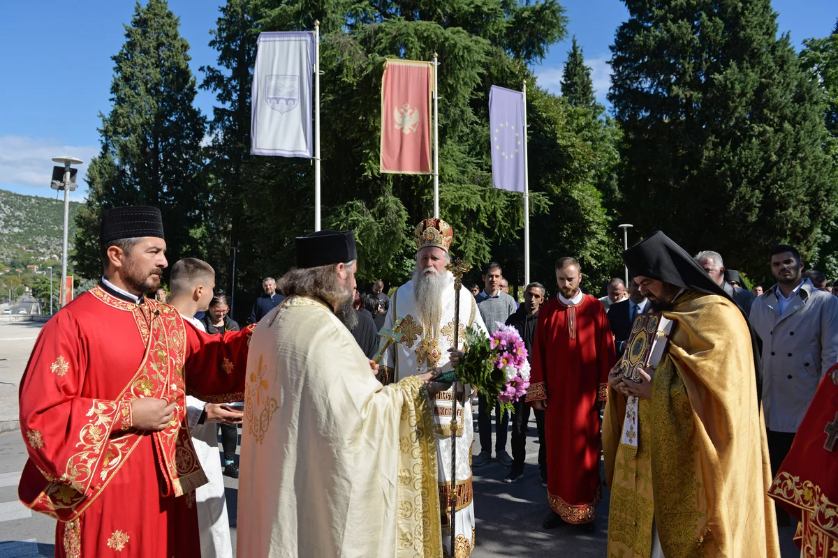 DSC 10001 (4)   Copy