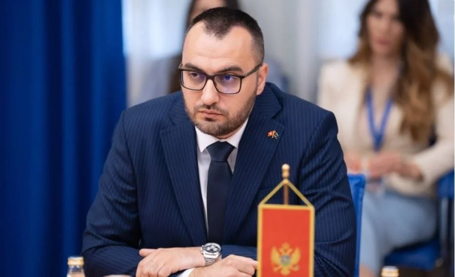 Dusko Stjepovic Demokratska Crna Gora foto DCG