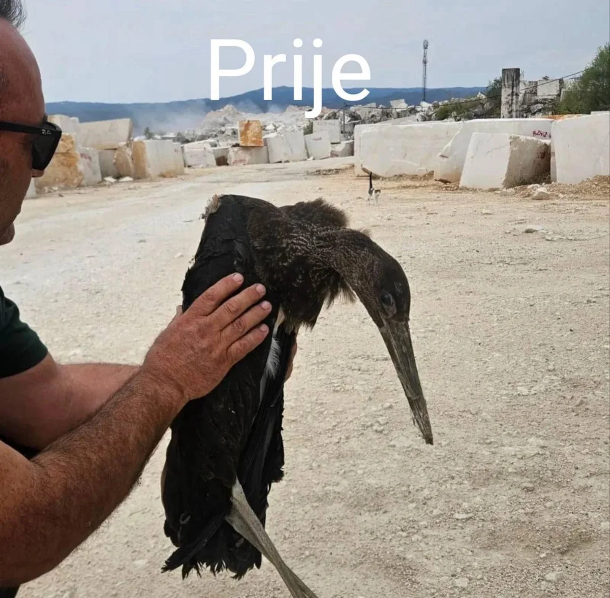 IMG 19ab0a9052f949ad1138156aa5ab6e0a V