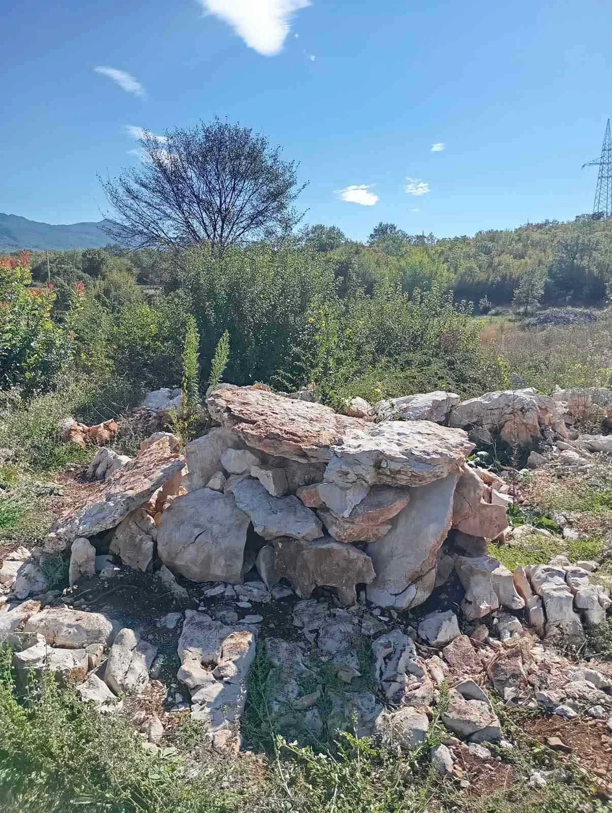 IMG 410ea763ff16bbe8561ab01c86715eef V