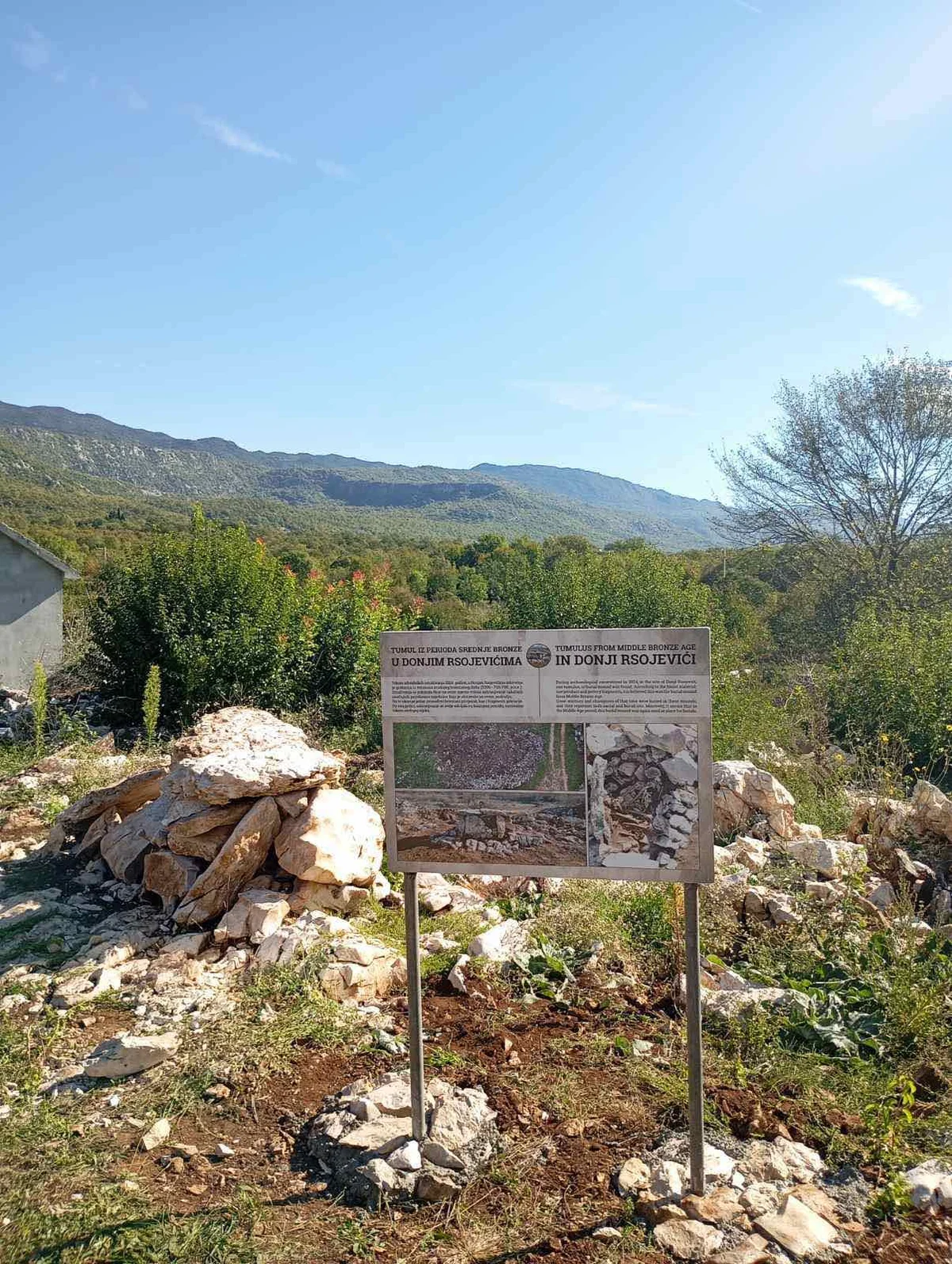 IMG 450b0c32c4126b7e50a82b6a3d35c6a2 V