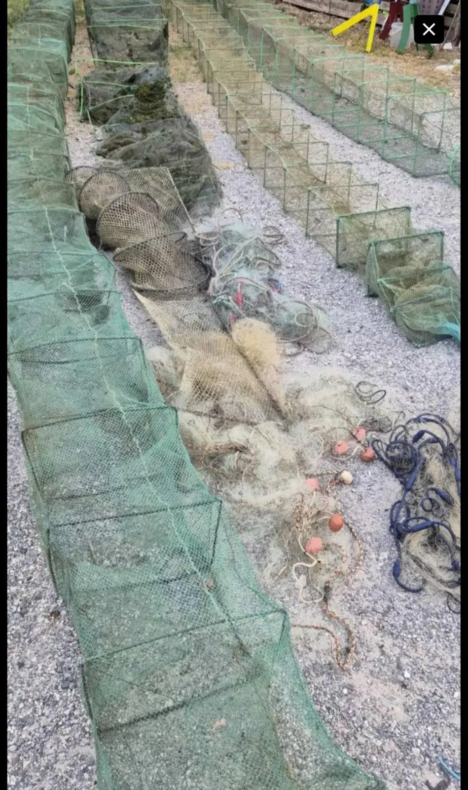 IMG b33e542f0ba1371a48a97fba279ffd15 V