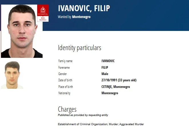Filip ivanovic 618x900